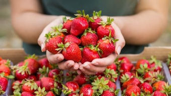 Открытие границ в Германии